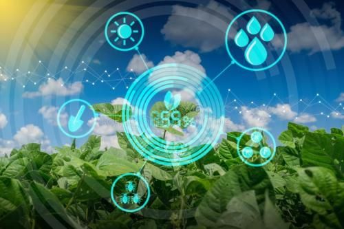 Ebpay创新海岳智粮·慧眼产品解决方案